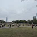深圳旅游 缩略图 1
