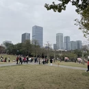 深圳旅游 缩略图 2