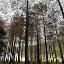 深圳旅游 缩略图 12