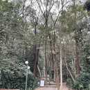 深圳旅游 缩略图 7
