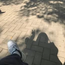 深圳旅游 缩略图 3