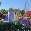 深圳旅游 缩略图 1