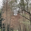 深圳旅游 缩略图 10
