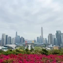 深圳旅游 缩略图 7
