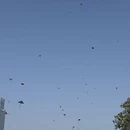 深圳旅游 缩略图 8