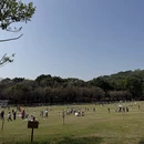 深圳旅游 缩略图 11