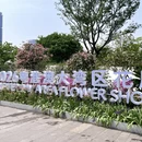 深圳旅游 缩略图 1
