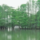 广州旅游 缩略图 9