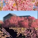 广州旅游 缩略图 2
