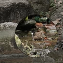 广州旅游 缩略图 4
