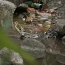 广州旅游 缩略图 7