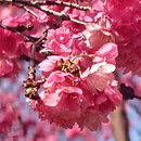 大理州旅游 缩略图 10