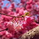 大理州旅游 缩略图 12