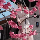 大理州旅游 缩略图 1