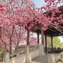 大理州旅游 缩略图 1