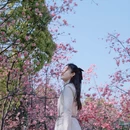 大理州旅游 缩略图 9