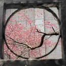 大理州旅游 缩略图 6