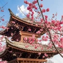 大理州旅游 缩略图 5