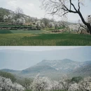 大理州旅游 缩略图 5