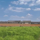 大理州旅游 缩略图 11