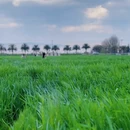 大理州旅游 缩略图 8