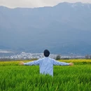 大理州旅游 缩略图 7