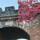 大理州旅游 缩略图 3