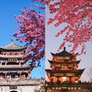 大理州旅游 缩略图 1