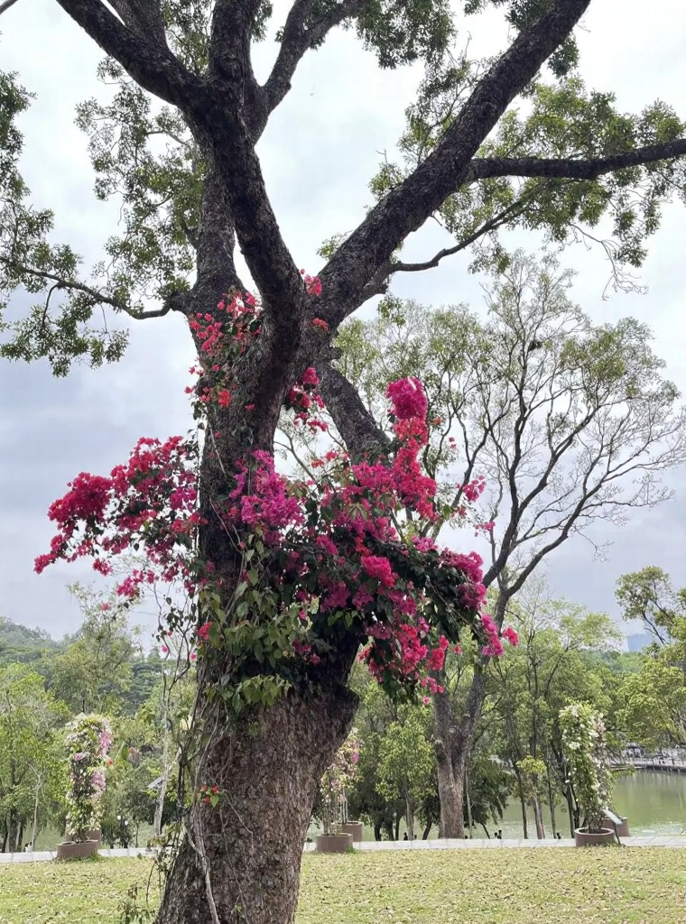 深圳旅游