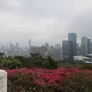 深圳旅游 缩略图 3