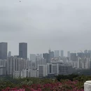 深圳旅游 缩略图 8