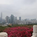 深圳旅游 缩略图 2