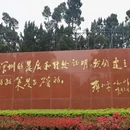 深圳旅游 缩略图 4
