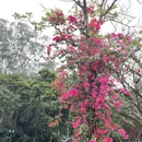 深圳旅游 缩略图 2