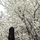 成都旅游 缩略图 11