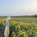 成都旅游 缩略图 12