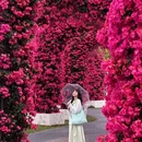 广州旅游 缩略图 3