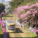 广州旅游 缩略图 5