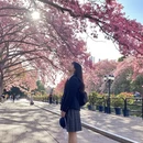 广州旅游 缩略图 2