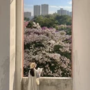 广州旅游 缩略图 7