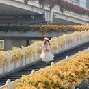 广州旅游 缩略图 9