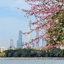 广州旅游 缩略图 10
