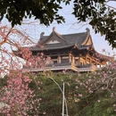 广州旅游 缩略图 13