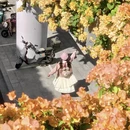 广州旅游 缩略图 12