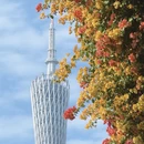 广州旅游 缩略图 6