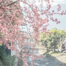 大理州旅游 缩略图 10
