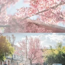 大理州旅游 缩略图 7