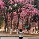 大理州旅游 缩略图 2