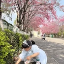 大理州旅游 缩略图 11