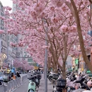 深圳旅游 缩略图 7